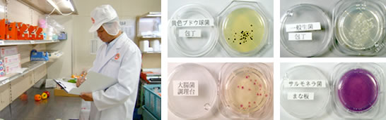 細菌検出業務